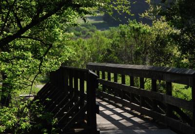 Explore our local hiking trails! bridge