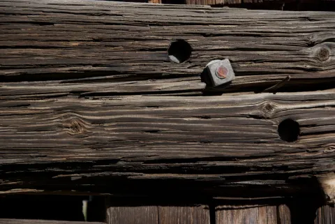 Wood