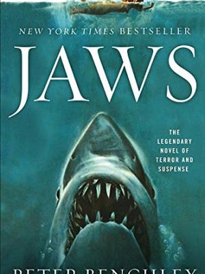 Shark rising to the surface to eat.